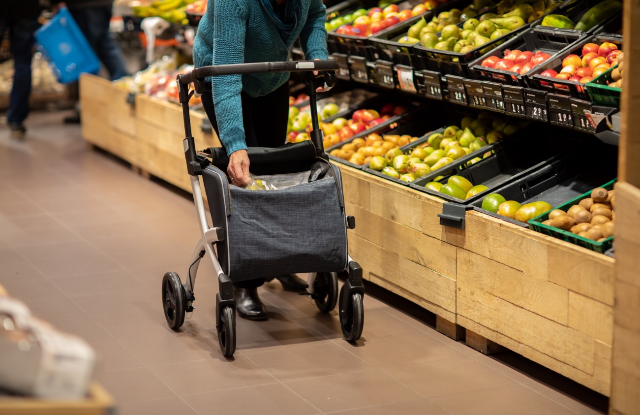 Companion helping with grocery shopping and daily errands